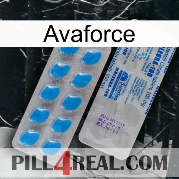 Avaforce new15.jpg
